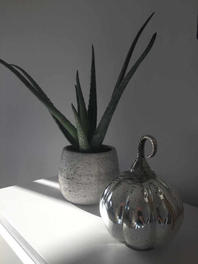 Bora Apartment Stronie Slaskie